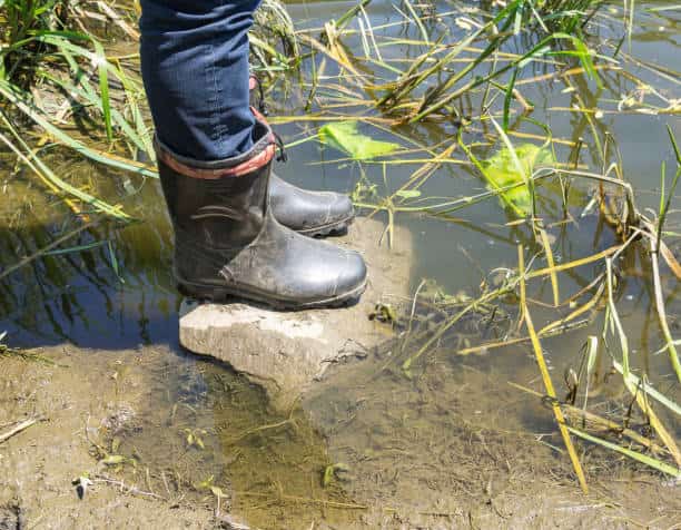 قیمت کفش ایمنی ضد آب و خرید باور نکردنی